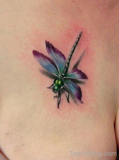 Colorful Dragonfly Tattoo-Tb1222