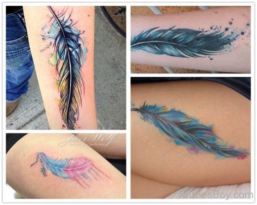 Colorful Feather Tattoo-TB1032