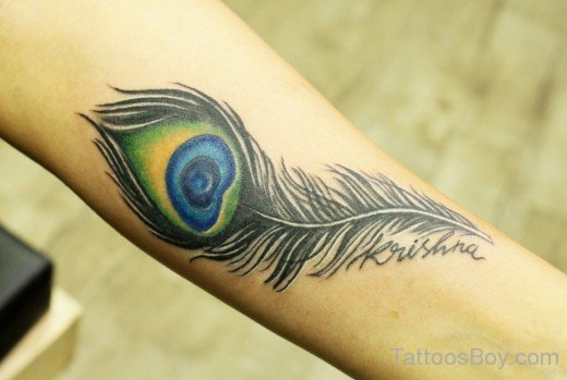 Colorful Peacock Feather Tattoo-TB1033