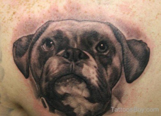 Dog Face Tattoo Design-TB1045