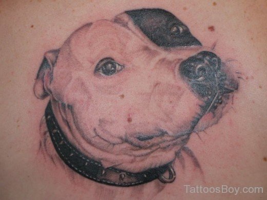 Dog Face Tattoo-TB1050
