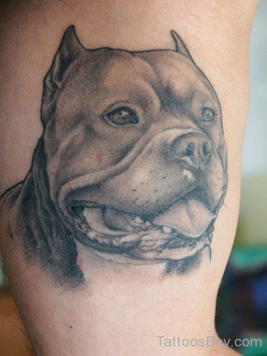 Dog Tattoo 4-TB1060