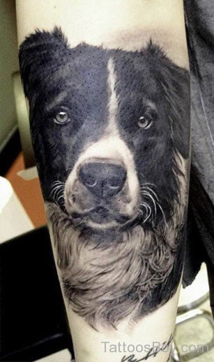Dog Tattoo Design On Arm-TB1063