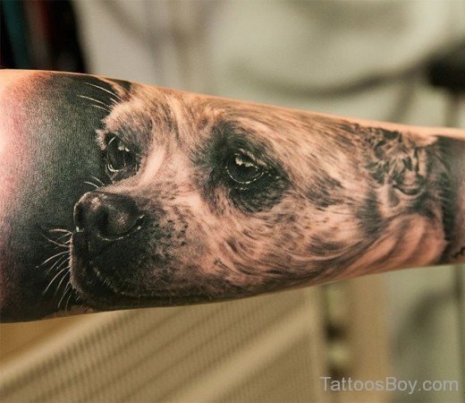 Dog face Tattoo On arm-TB1046