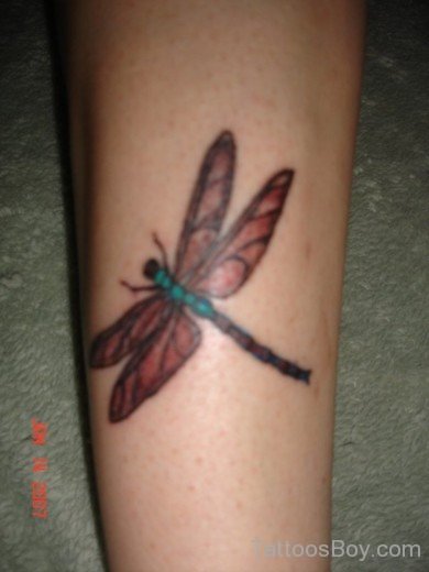 Dragonfly Tattoo 1747-Tb1241