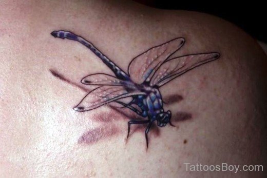 Dragonfly Tattoo 58-Tb1244