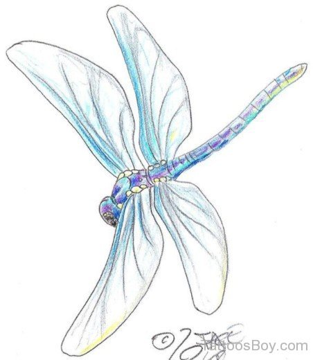 Dragonfly Tattoo Design 2-Tb1247