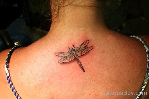 Dragonfly Tattoo On Nape-Tb1261