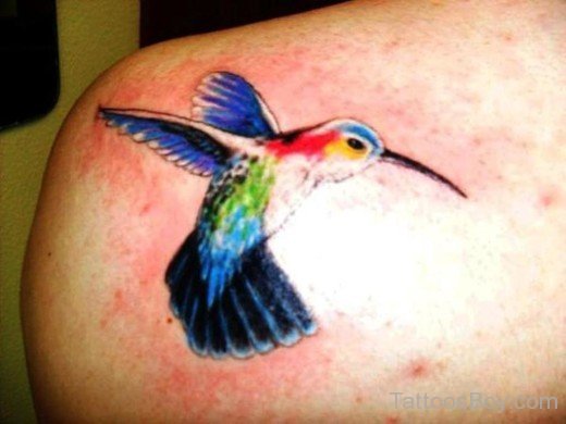 Flying Hummingbird Tattoo On Back-TB1058