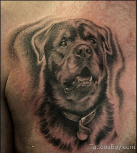 Grey Dog Tattoo-TB1090