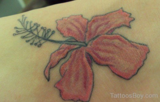 Hibiscus Flower Tattoo 8-TB12070