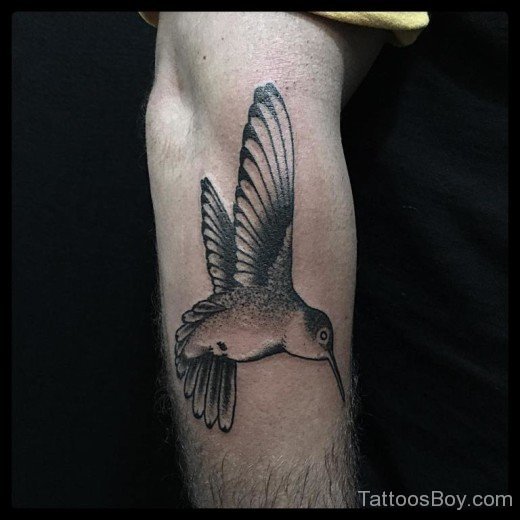 Hummingbird Tattoo On Arm 1-TB1102