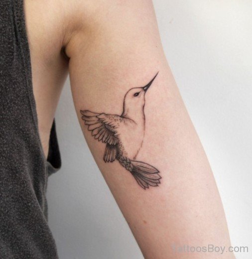 Hummingbird  Tattoo On Bicep-TB1067