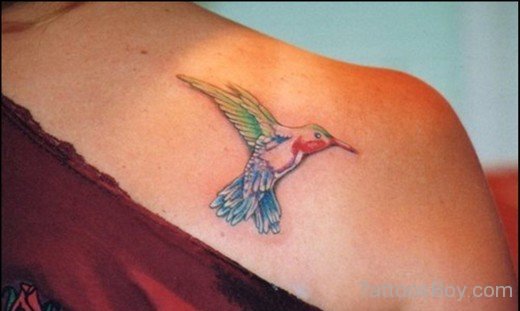 Hummingbird Tattoo On Shoulder 36-TB1124