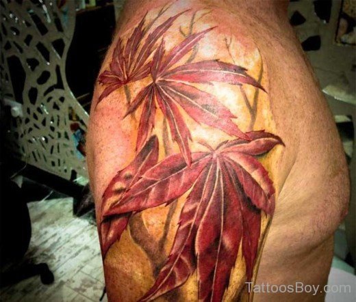 Leaf Tattoo On Shoulder-Tb170