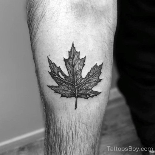 Maple Leaf Tattoo-Tb179