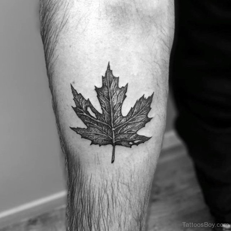 Maple Leaf Tattoo | Tattoo Designs, Tattoo Pictures