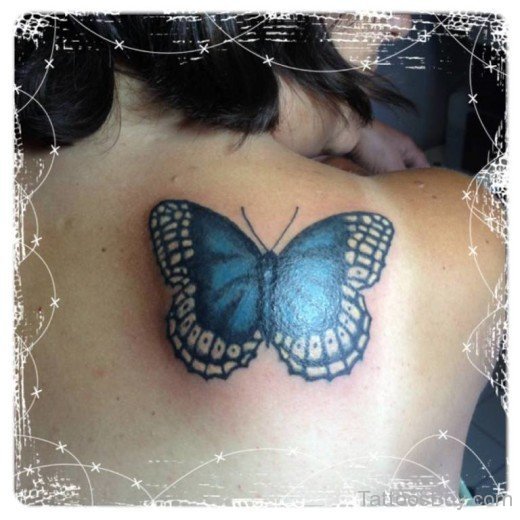 Nice Butterfly TAttoo-TB0123