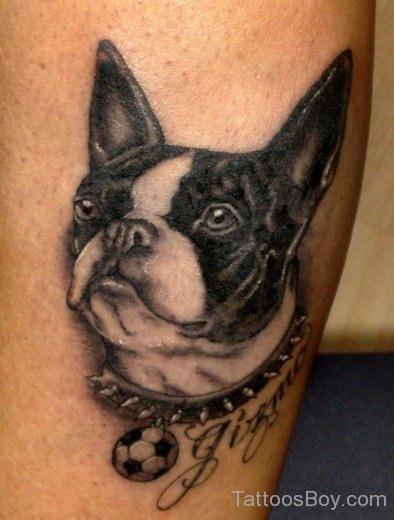 Nice Dog Tattoo Design-TB1095