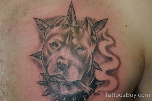 Nice Dog Tattoo On Chest-TB1096
