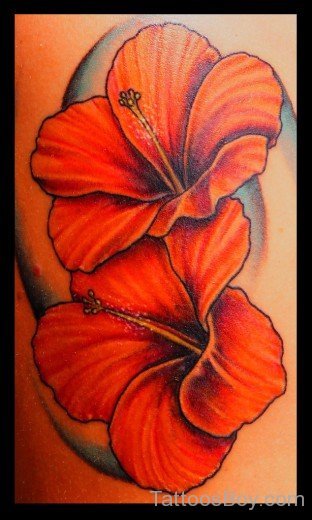 Nice Hibiscus Flower Tattoo-TB12127