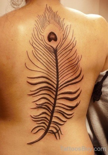 Outline Feather Tattoo Design-TB1082