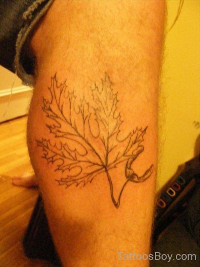 Outline Leaf Tattoo-Tb184