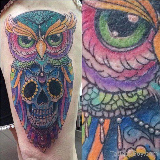 Owl And Skull Tattoo-TB12100