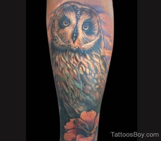 Owl Tattoo-TB12132