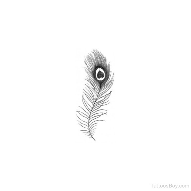 Feather Tattoos and its Designs Ideas and Meanings HD phone wallpaper |  Pxfuel