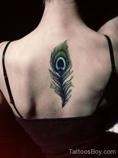 Peacock Feather Tattoo-TB1088