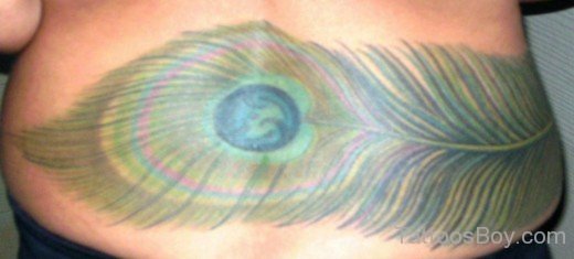 Peacock Feather Tattoo-TB157