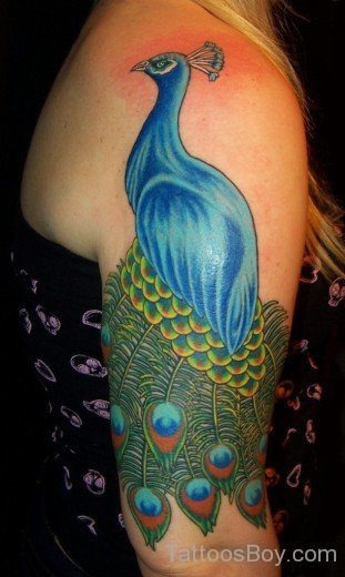 Peacock Tattoo On Shoulder-TB1082