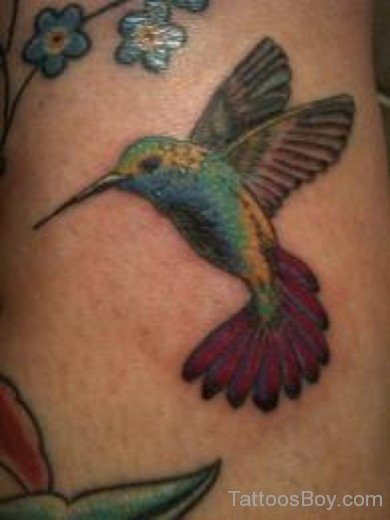 Pretty  Hummingbird Tattoo-TB1139