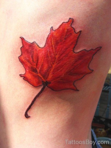 Red Leaf Tattoo On Rib-Tb187