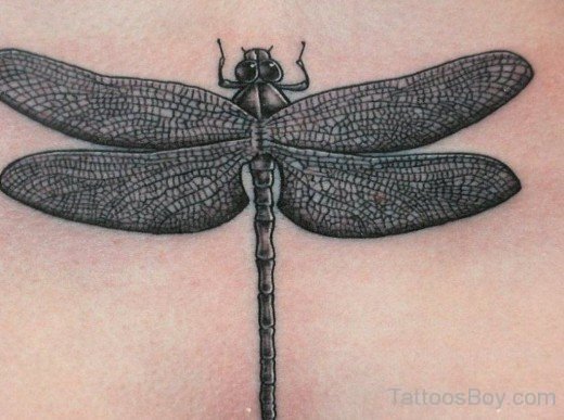 Superb Dragon Tattoo-Tb1289