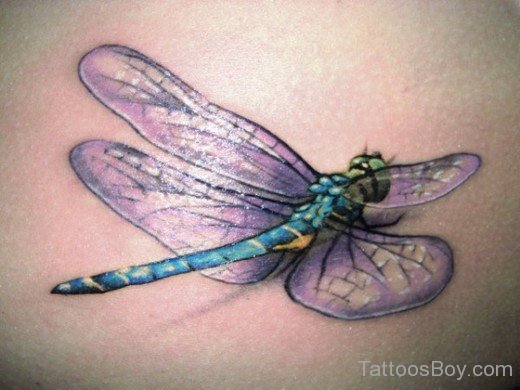 Unique Dragonfly Tattoo-Tb1294