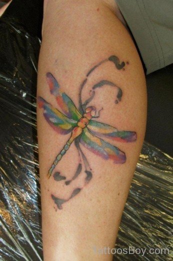 Wonderful Dragonfly Tattoo-Tb1299