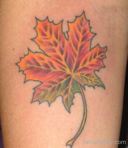 Wonderful Leaf Tattoo Design-Tb198