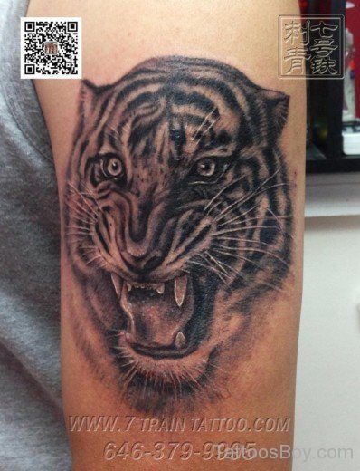 Aggressive Tiger Tattoo-TB1001