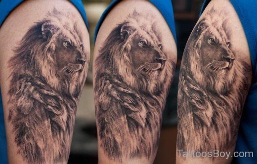 Amazing Lion Tattoo-TB1001
