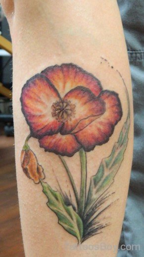 Amazing Poppy Flower Tattoo-TB1001