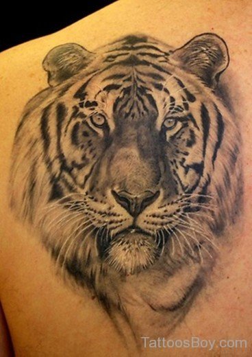 Amazing Tiger Tattoo On Back-TB1004