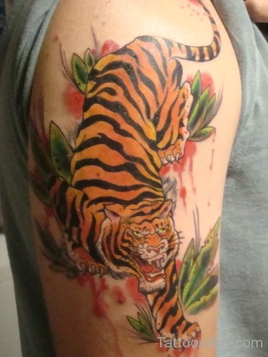 Amazing Tiger Tattoo On Shoulder-Tb101