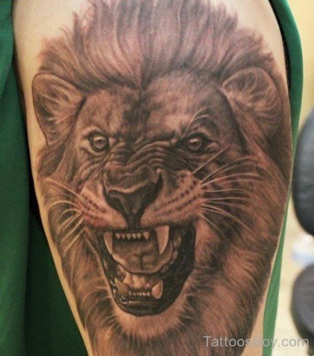 Angry Lion Tattoo On Bicep-TB1003
