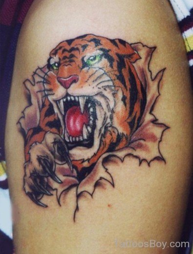 Angry Tiger Tattoo Design-TB1006