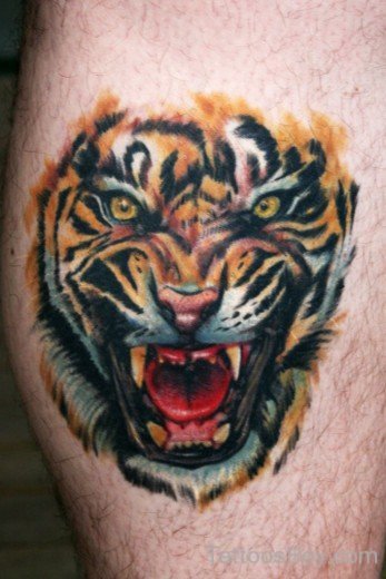 Angry Tiger Tattoo Design-Tb102