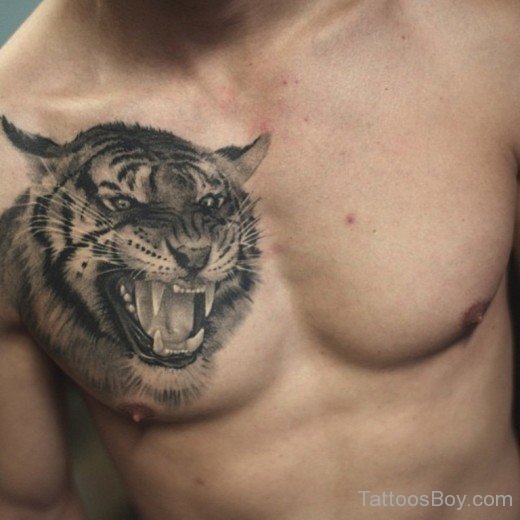 Angry Tiger Tattoo On Chest-Tb103