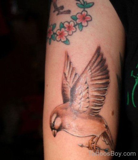 Arrow Catching Sparrow Tattoo-Tb1008