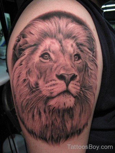 Attractive Lion Tattoo Design-TB1006